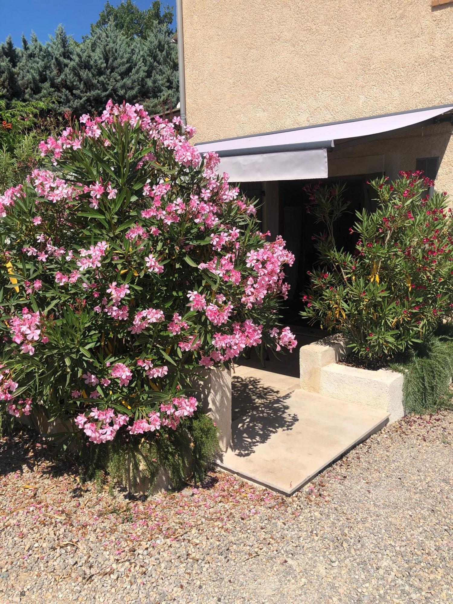 דירות פייאנס Le Cocon De Provence מראה חיצוני תמונה